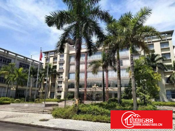 虎门沿江高速花园式厂房3万平招租免租6个月大小面积可分租