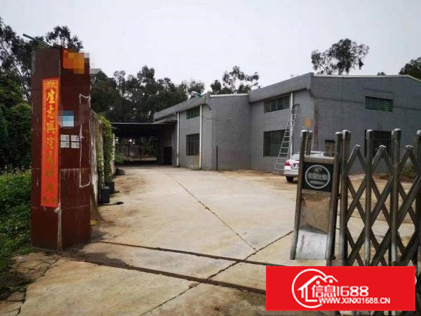 常平新出单一层独门独院厂房17元方交通便利，独门独院