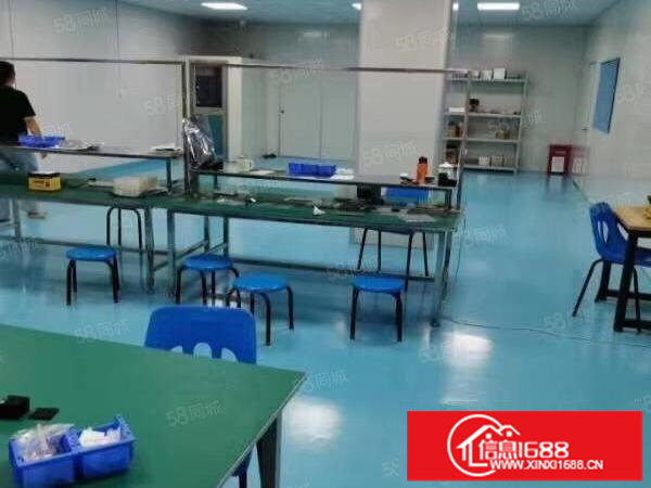 福永新出352平精装修独门独院形象好车位充足