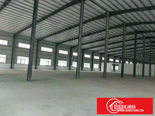 龙岗坪地独院钢构5000平方，滴水八米