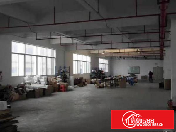 石排向西原房东分租楼上400~~800平方(可办环评）