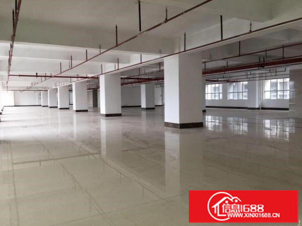 坂田华为地铁口100~5000平方电商办公 仓库厂房出租