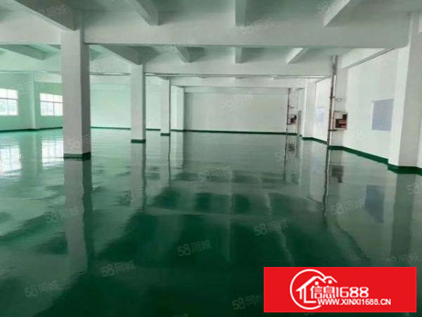 观澜新田市场附近楼上全新装修厂房800~3200平方出租可分