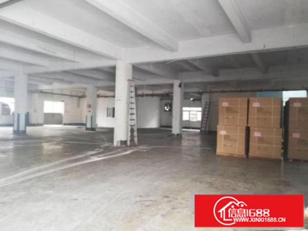 清溪渔樑围村原房东一楼标准厂房1000平米带装修出租