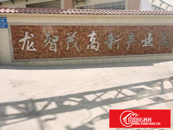 全新厂房3吨电梯空间大，停车方便，园区宿舍，食堂配套