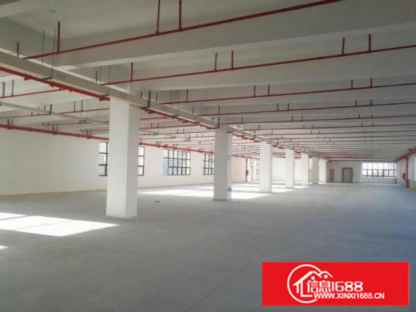 塘厦莲湖标准厂房一楼1600平米水电齐全