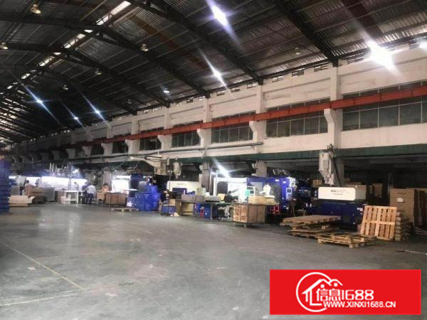 出租桥头禾石原房东滴水12米钢构11000平工业厂房