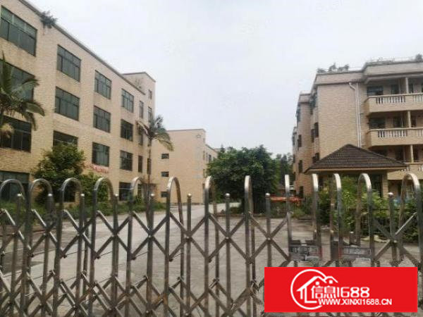 观澜牛湖新出原房东花园式独院厂房1到3层4500平出租零公摊