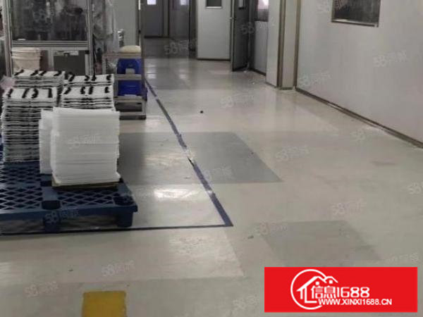 坪山大工业区独栋厂房四层2万平米带无尘车间厂房出租分租