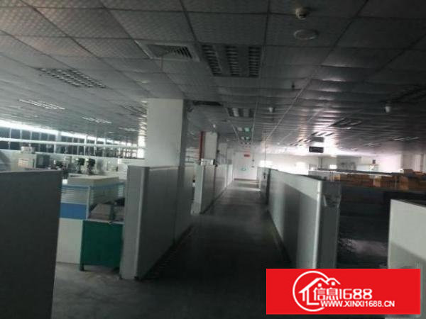 龙岗新出三楼3000平现成装修现成水电厂房出租