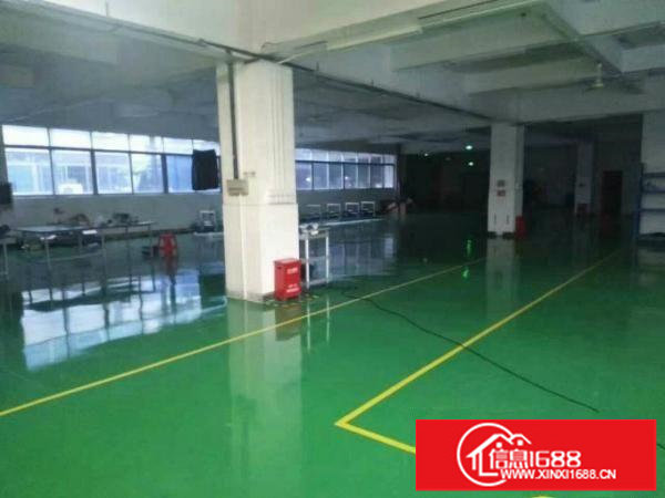 龙岗龙东原房东一二楼每层1000平米，厂房急租