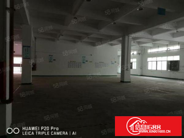 黎光原房东1楼3100平，可分租1000平，园区空地超大价低