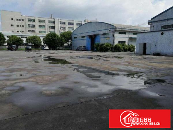 出租仲恺潼湖新出独门独院钢构中间无柱子适合各个行业可办环评