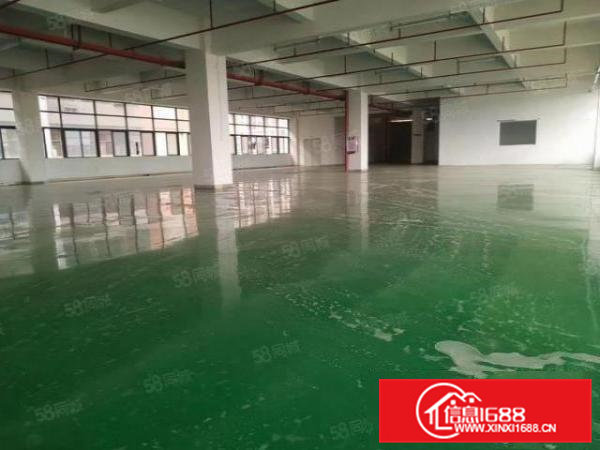 大岭山大塘新出单一层900平厂房出租,带有精装修办公室