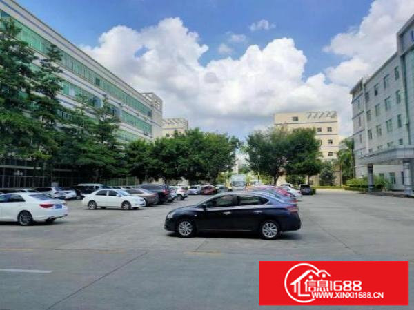 龙华大浪工业园仓库厂房出租精装修1000平可分