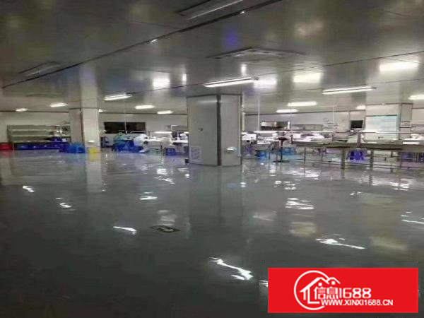 大朗镇无尘车间出租，水电齐全，拎包即可生产