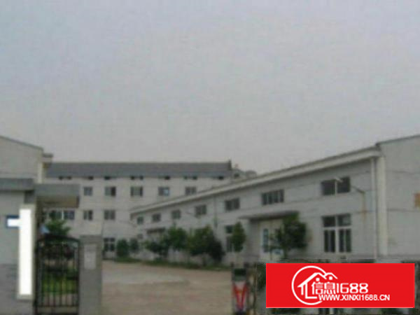 万江原房东独院单一层钢构1000平出租滴水7米无行业限制