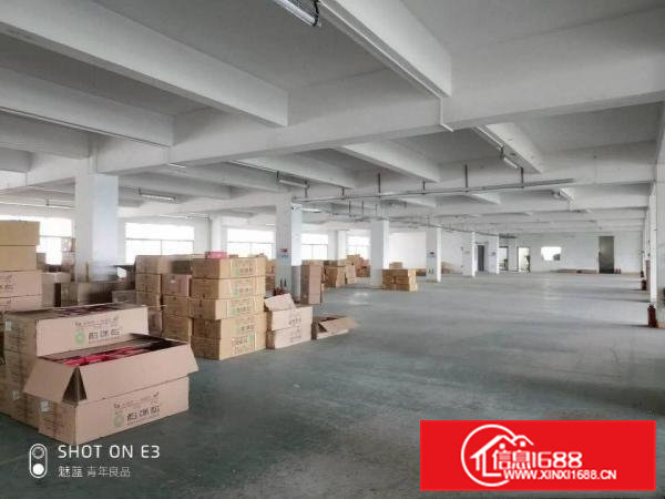 企石新出原房东独院厂房标准8100 单一层1700