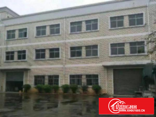 万江简沙洲环城路外标准1800或1000平方出租