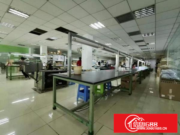 急招出租，大岭山实拍的2楼厂房2000平米，原房东，公摊小