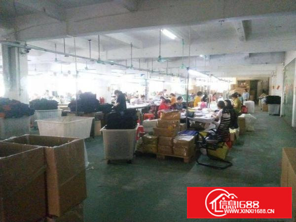 好消息新出经典小独院3层3300平方，无公摊面积