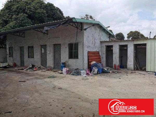 大朗原房东小独门独院