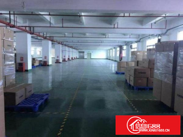 狮山石碣1楼1000平精装修厂房分租