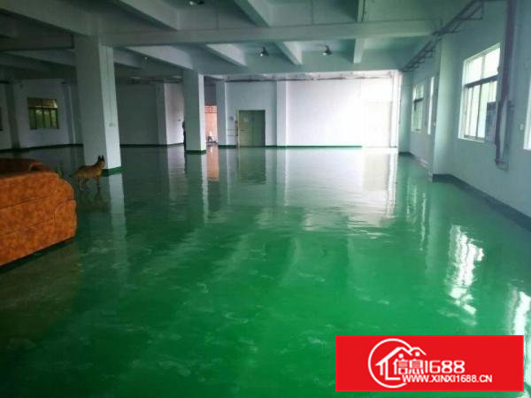 桥头镇新出标准厂房火爆招租