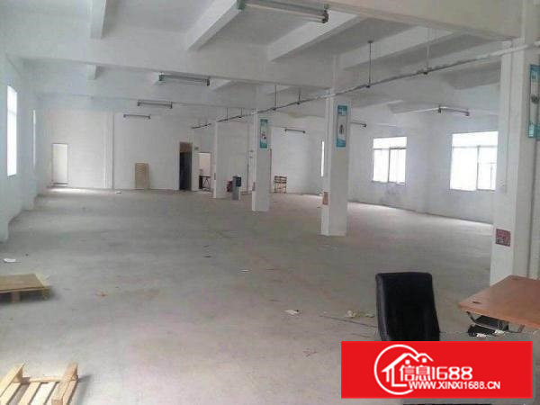 新场独院家具厂房3300平方