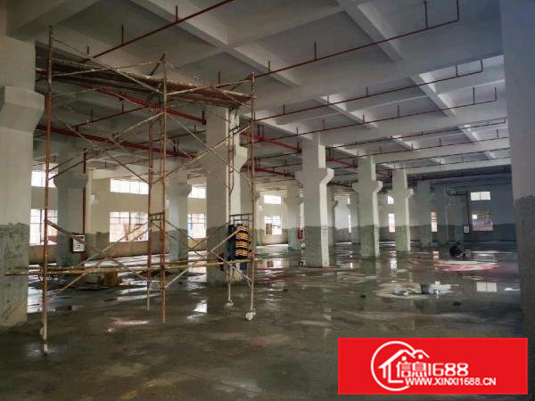 石排福隆第二工业区三路全新工业厂房