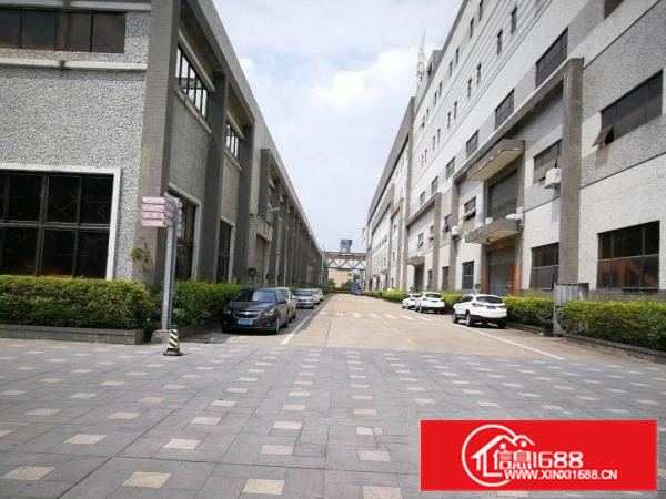 清溪12米高独栋钢构厂房8500平方有红本喷淋消防