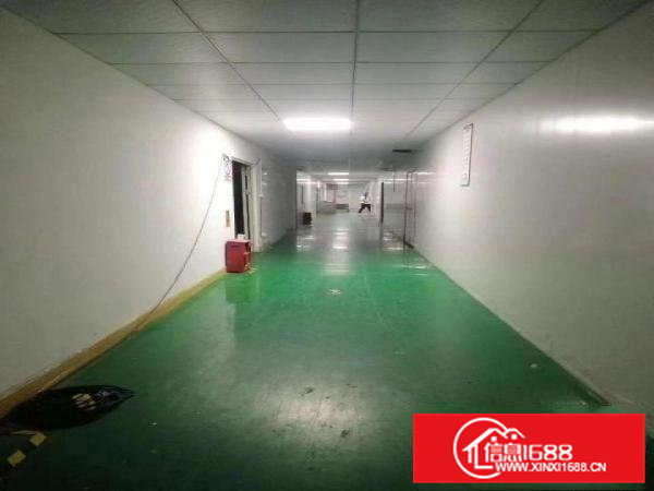 大岭山厚大路边大片美原房东1500平厂房出租带无尘车间