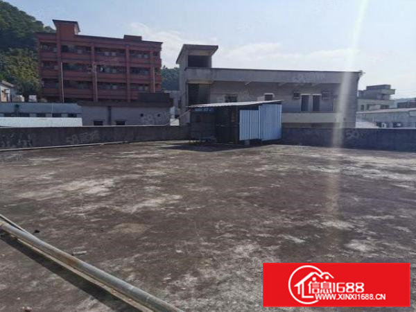 本地一手房东独院2000平方出租