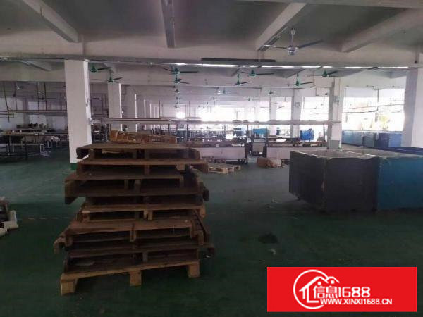 常平大京九标准独门独院总面积4800平出租