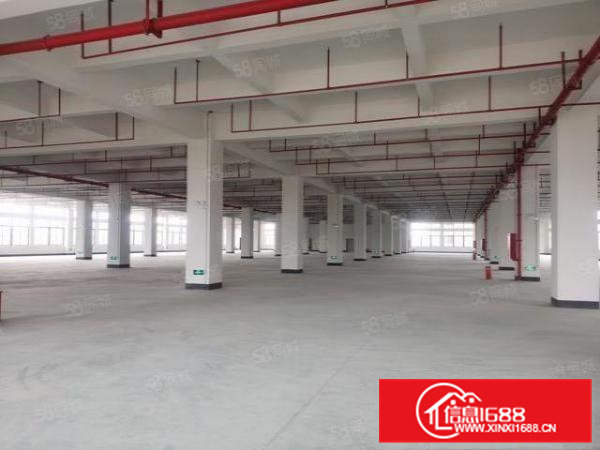 凤岗雁田靠近平湖独院物流厂房2000平方招租空地可停飞机