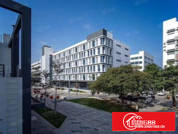 石岩龙大高速路口新出600平方带装修免费使用实用面积水电齐全