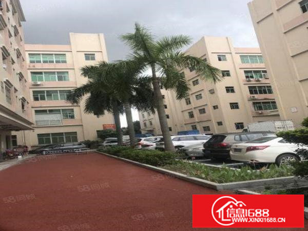 坂田原房东厂房240平方和1368平方