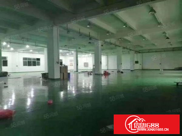 平湖辅城坳原房东一楼1500平方厂房出租