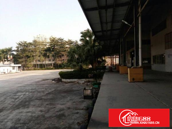 沥林工业区原房东独院标准厂房26600平方，高十米