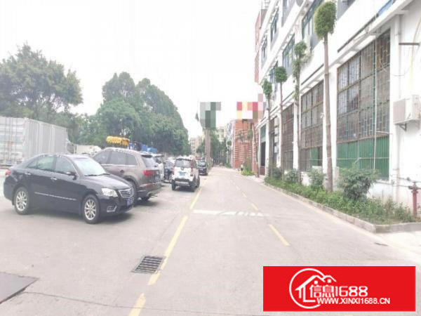 坂田高速入口附近新出2600平办公厂房，可分租