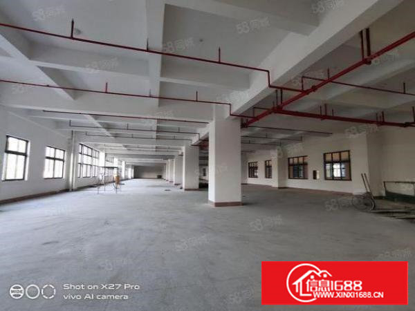 塘厦高速口全新红本300000平厂房招租！可分租，带卸货平台