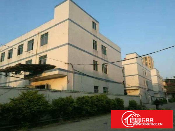 龙岗成熟工业区楼上1500平，500平出租