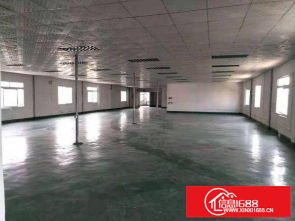 合路新出楼上700平方带装修厂房，适合多种行业