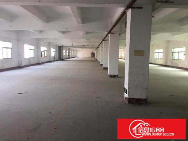 横岗沙荷路边独门独院厂房出租，500平方起分租