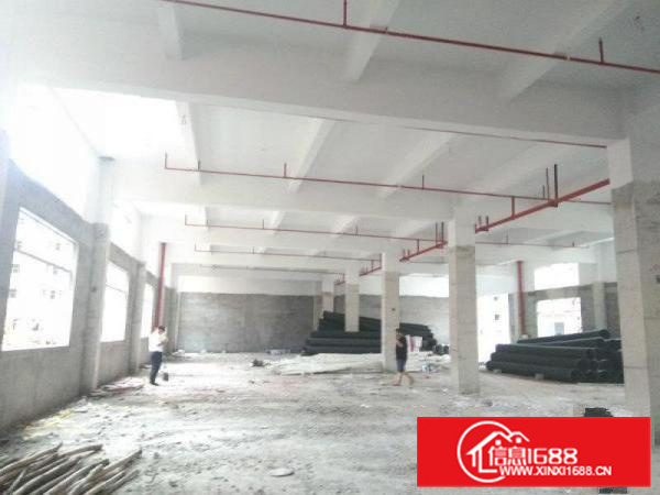 惠阳秋长独院标准厂房4500平米带消防喷淋出租