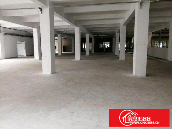 清溪11元的厂房，可以整租或分租。11元喔你要尽快联系我吧