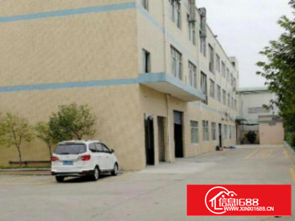 万江独院厂房分租1楼1500平方低价招租，带牛角水电齐全