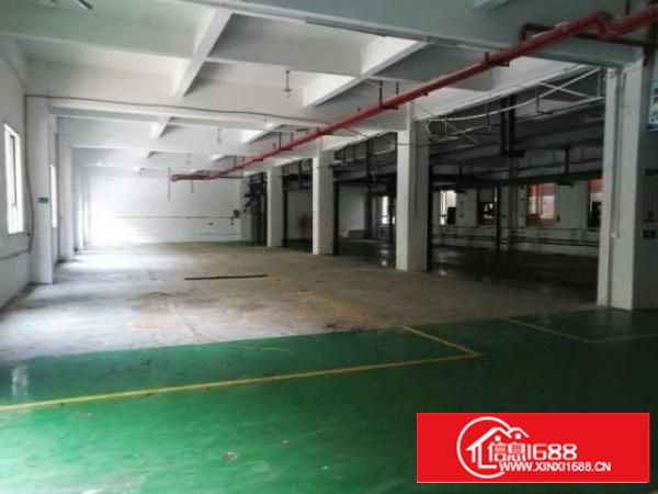 茶山博头村一楼1000平方厂房出租带现成办公室行车