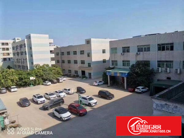 清溪三中新出楼上1600平