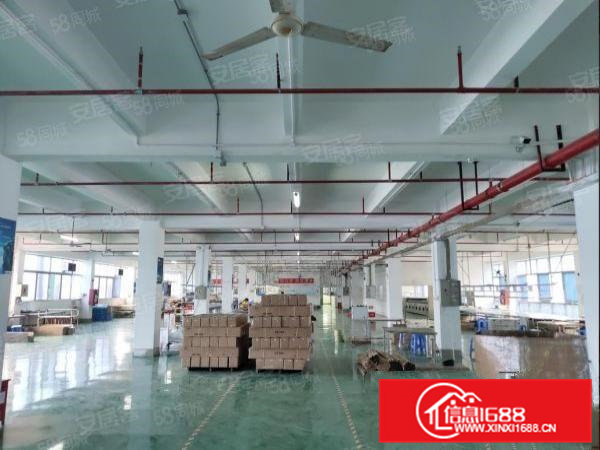 龙眼标准独院厂房出租，三层3800平方，整组优先，可分层出租